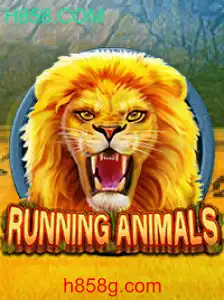 Descubra o Fascinante Mundo de RunningAnimals